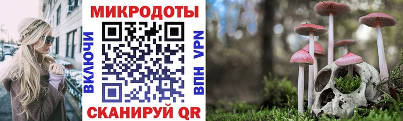 хочу   darknet состав  Псилоцибиновые грибы Cubensis  Губаха 